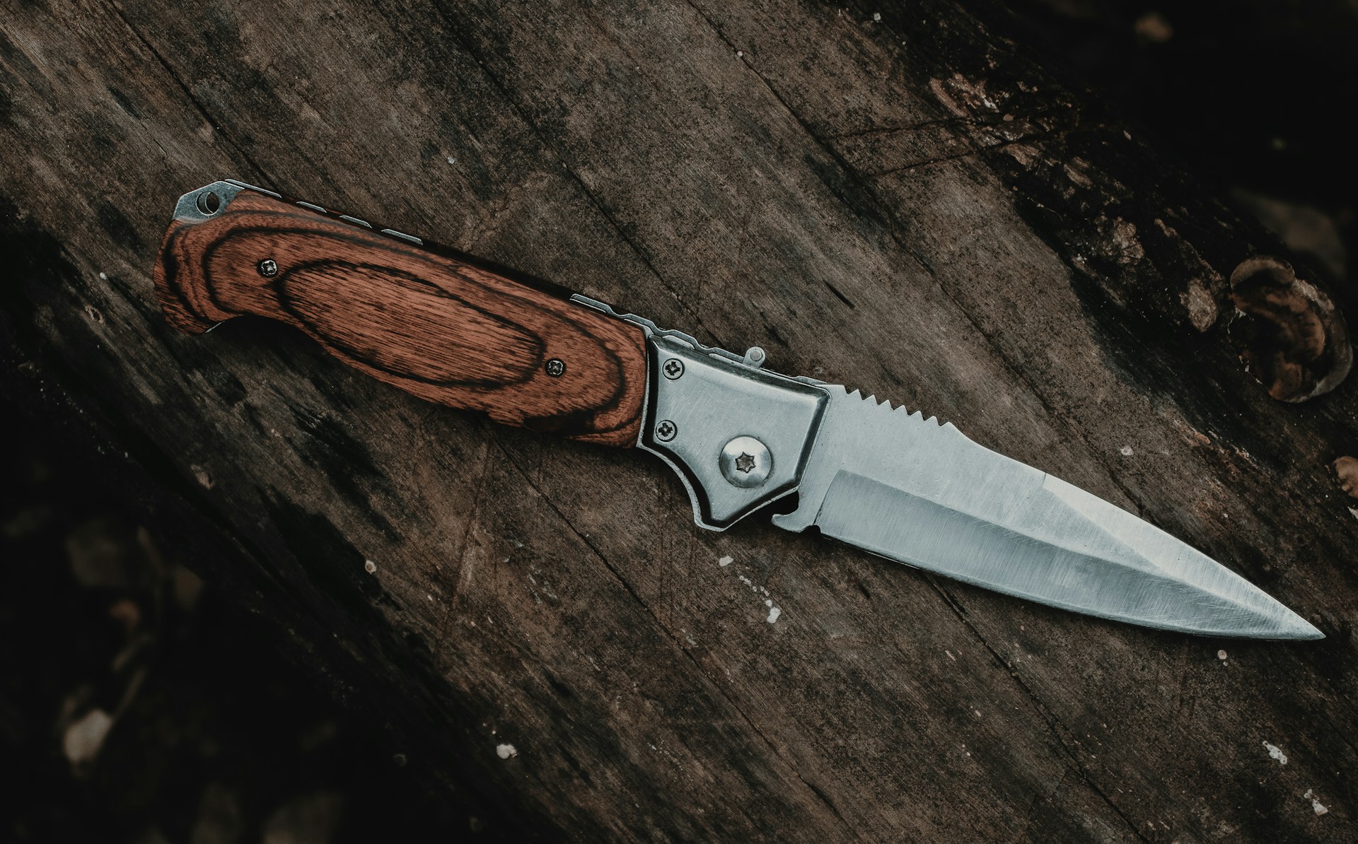Knife Shop -Knife Shop igor bispo sV5JRC3t71M unsplash